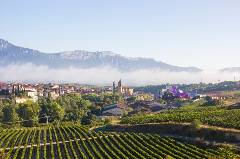 panarama di Logrono con i suoi vigneti Panarama di logroño con i suoi vigneti