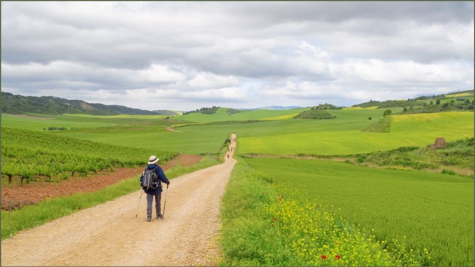 un pellegrino cammina da solo sul sentiero un pellegrino cammina da solo sul sentiero