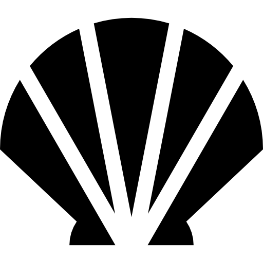 icona conchiglia cleanpng icona conchiglia cleanpng