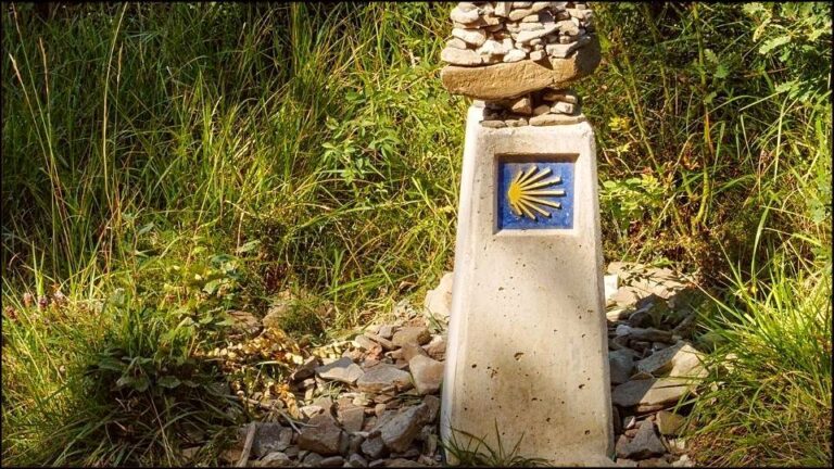 Il ritorno a casa: il Cammino di Santiago ogni giorno
